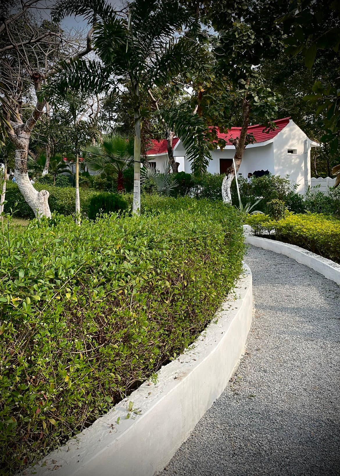 Deer Point Resort — image 3
